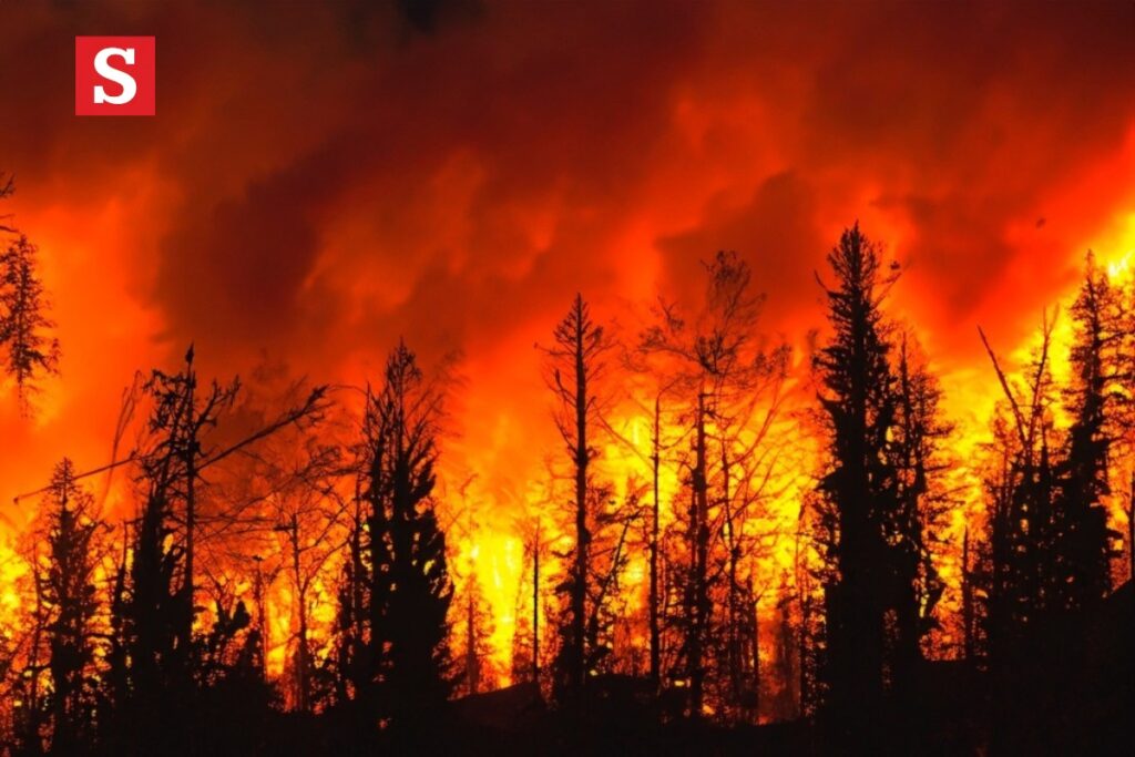 Los Angeles Fire A Comprehensive Look at Wildfires in California