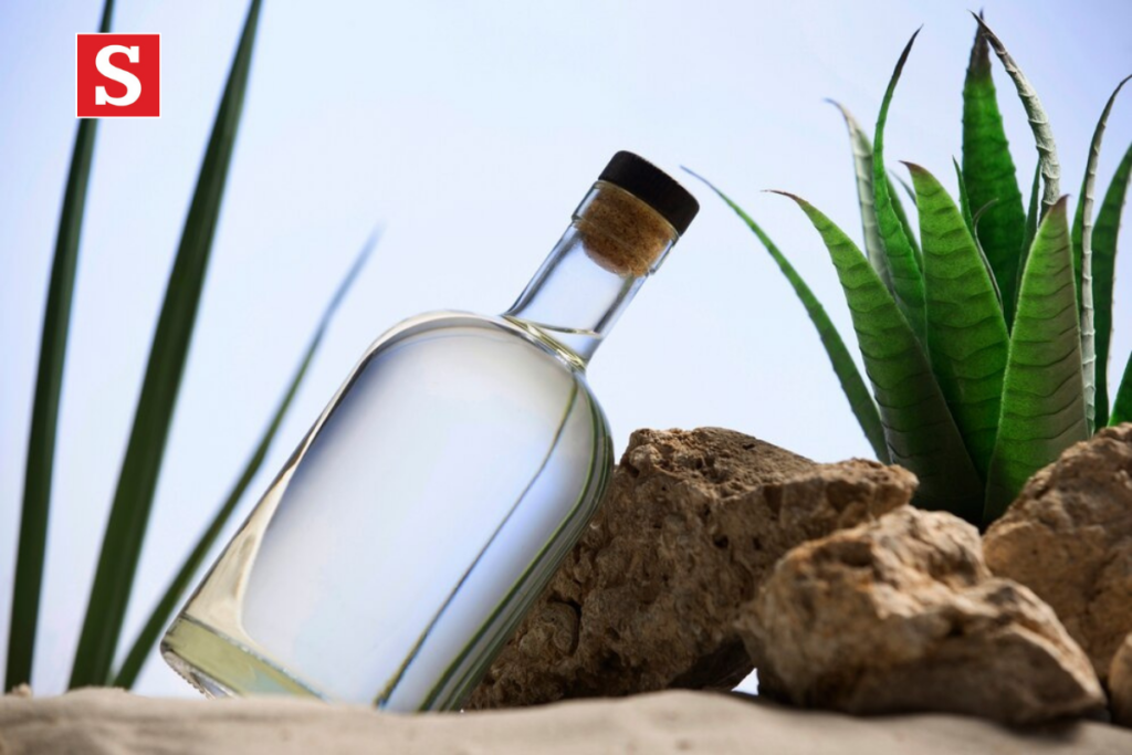 Luna Azul Tequila - Explore the Premium Taste of Luxury Tequila